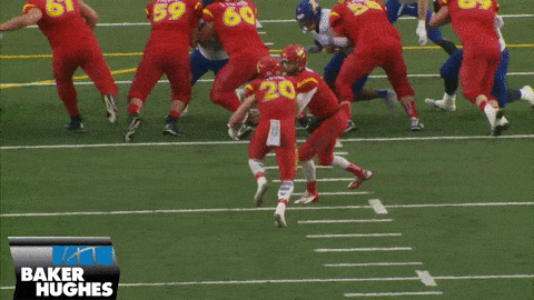 2Q Timmis breaking ankles for 22yds 2 (TBirds@Dinos Sept 5th)