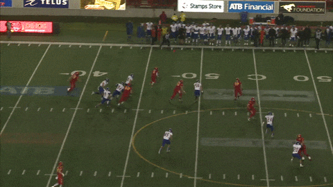 4Q Buckley scrambles for TD (missed by ref) (TBirds@Dinos Sept 5th)